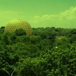 A Green Oasis in the Making: Auroville’s Afforestation Initiatives