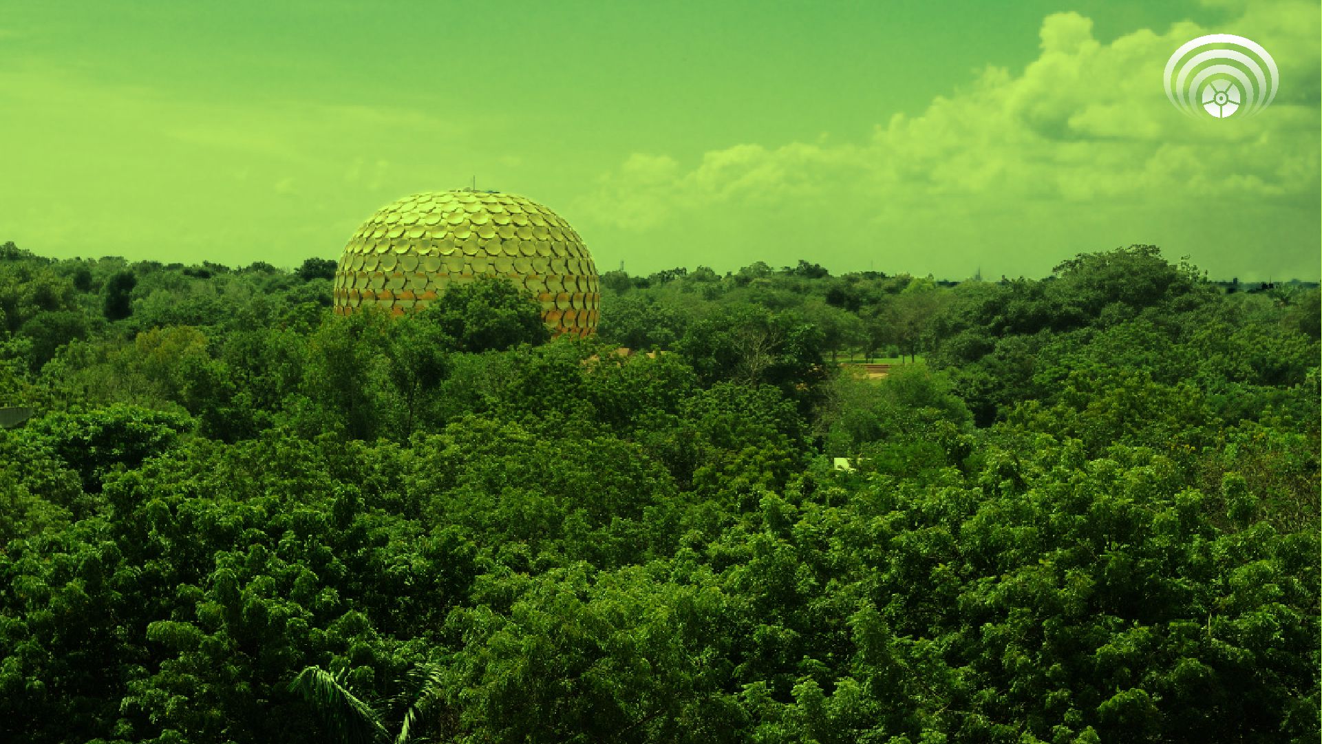 A Green Oasis in the Making: Auroville's Afforestation Initiatives