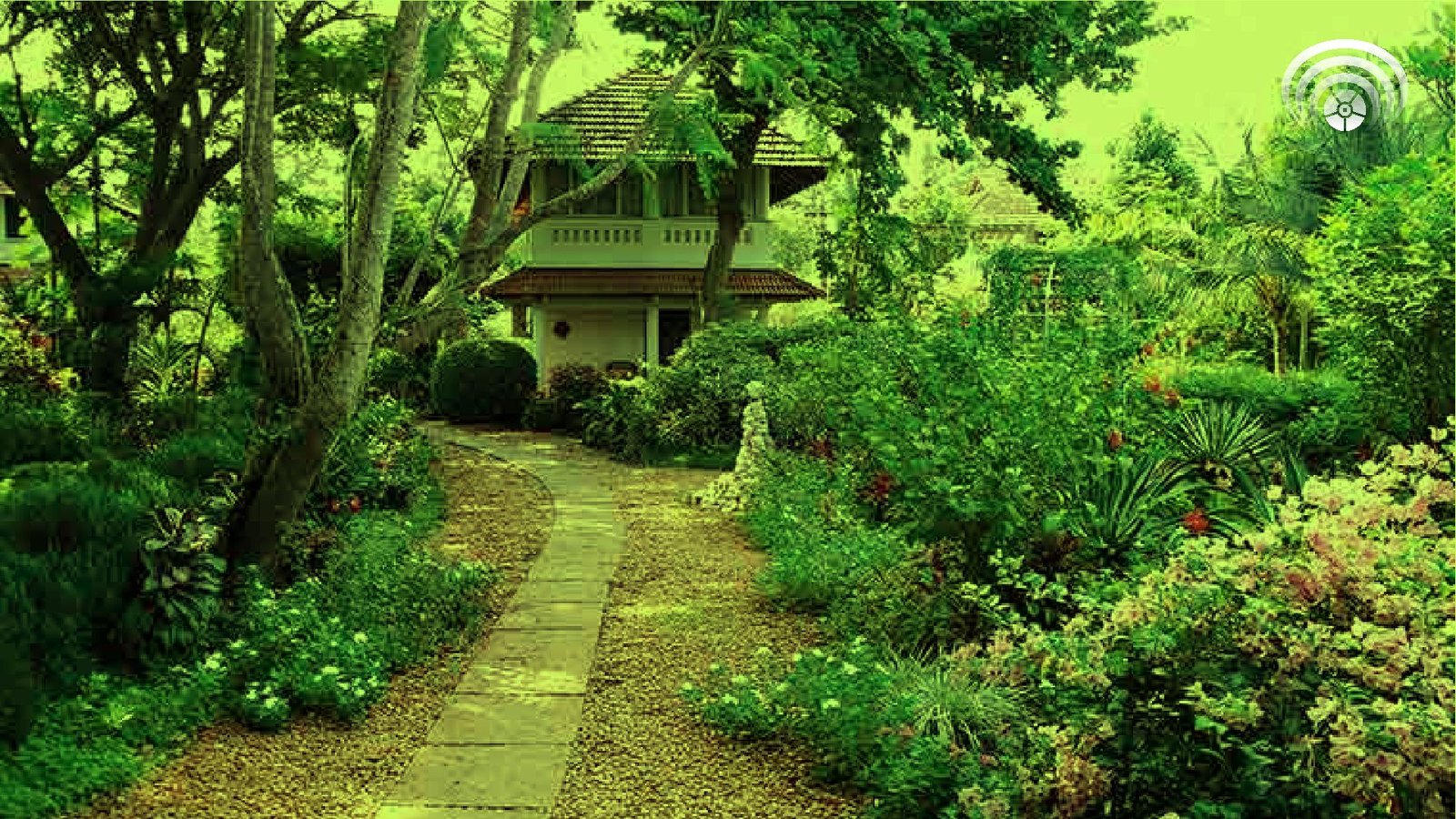 Nurturing Natural Beauty: Landscaping and Horticulture in Auroville