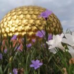 Auroville Battelfield