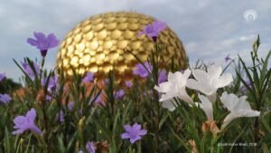 Auroville Battelfield