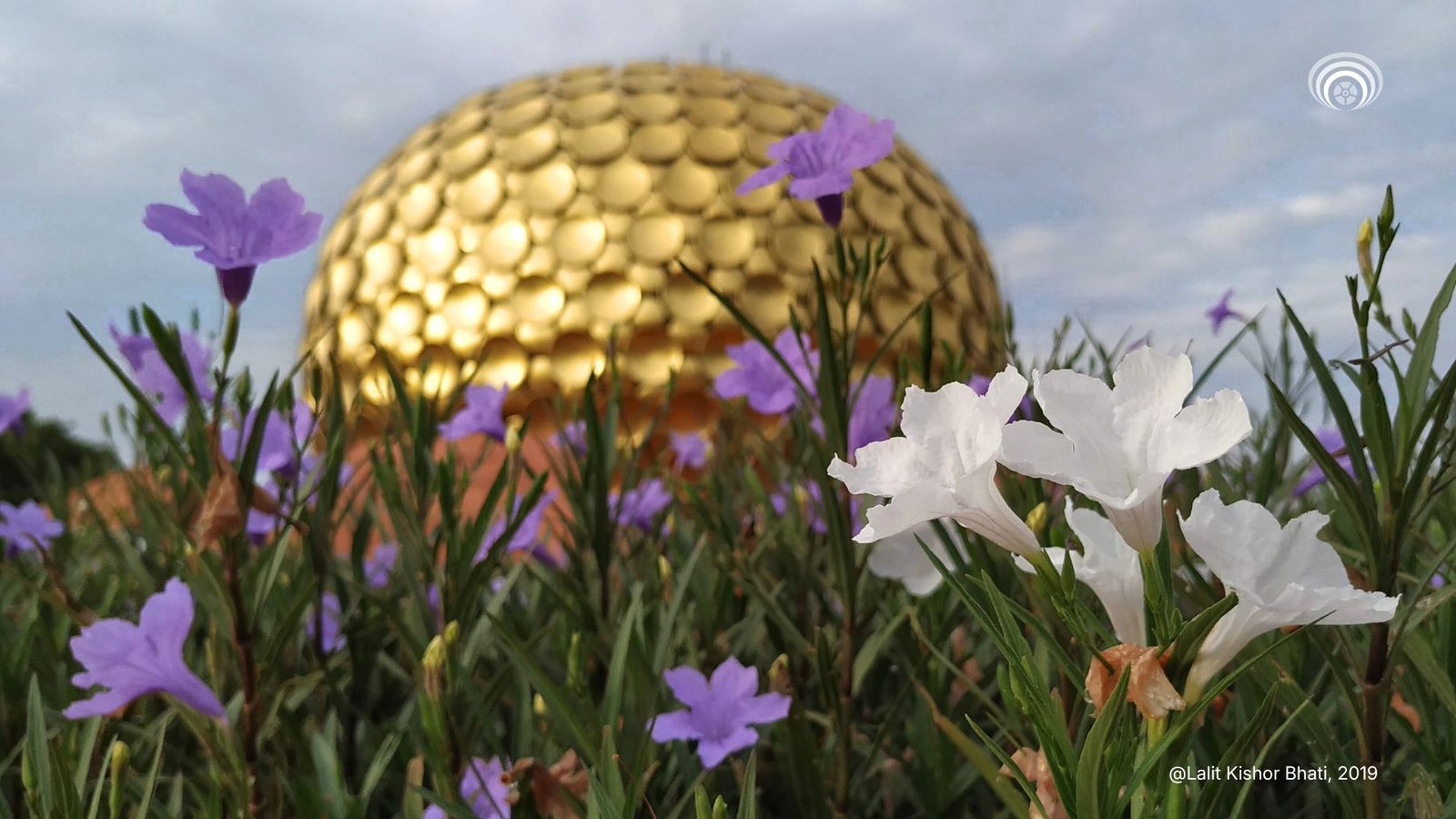 Auroville Battelfield