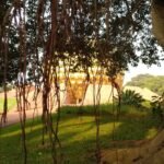 Roots with Relevance