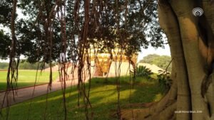 Roots with Relevance