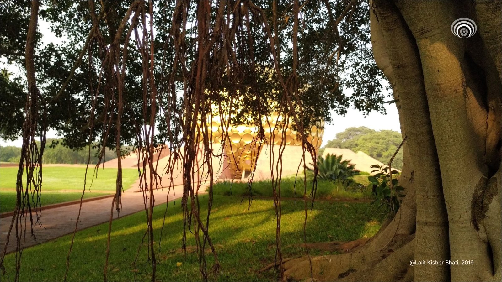 Roots with Relevance