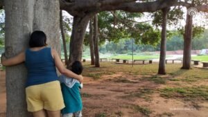 Learning to Belong to the Earth Again