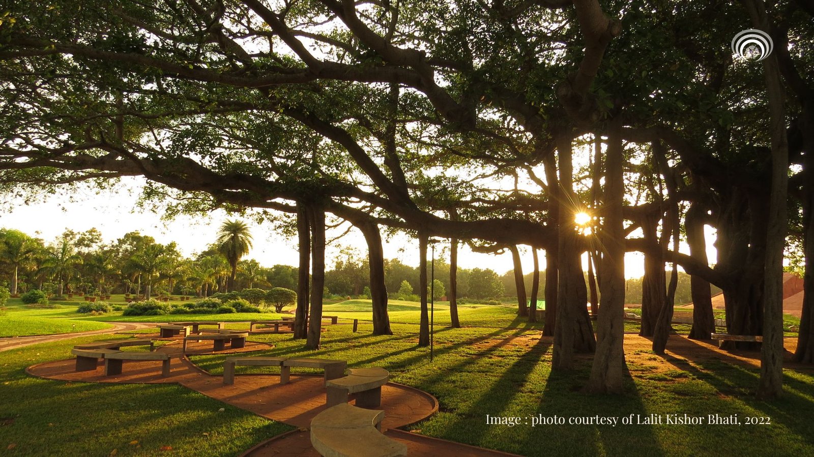 Ecology as the Living Infrastructure of Auroville